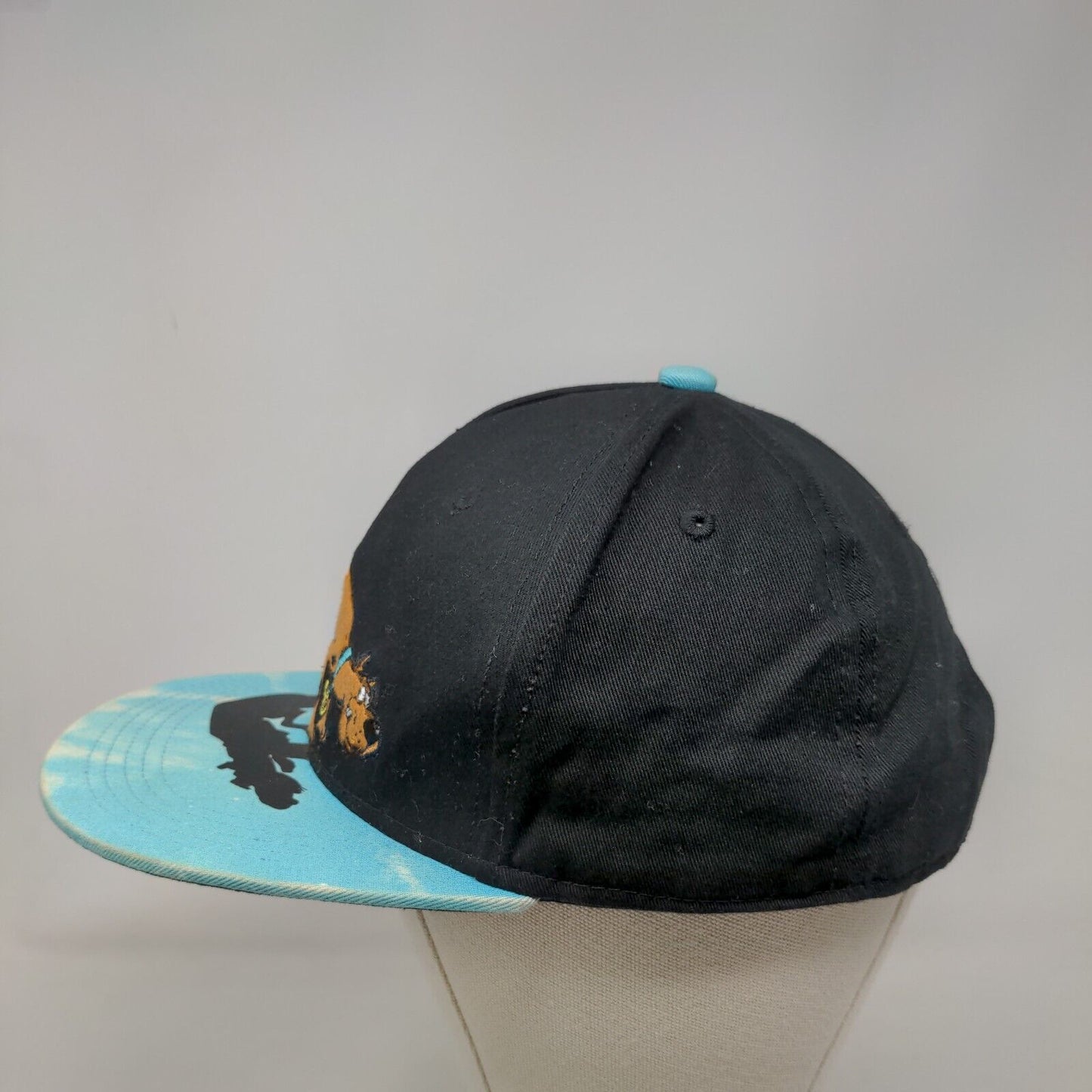 Scooby-Doo Snapback Hat Multi One Size Embroidered Vent Holes Colorblock