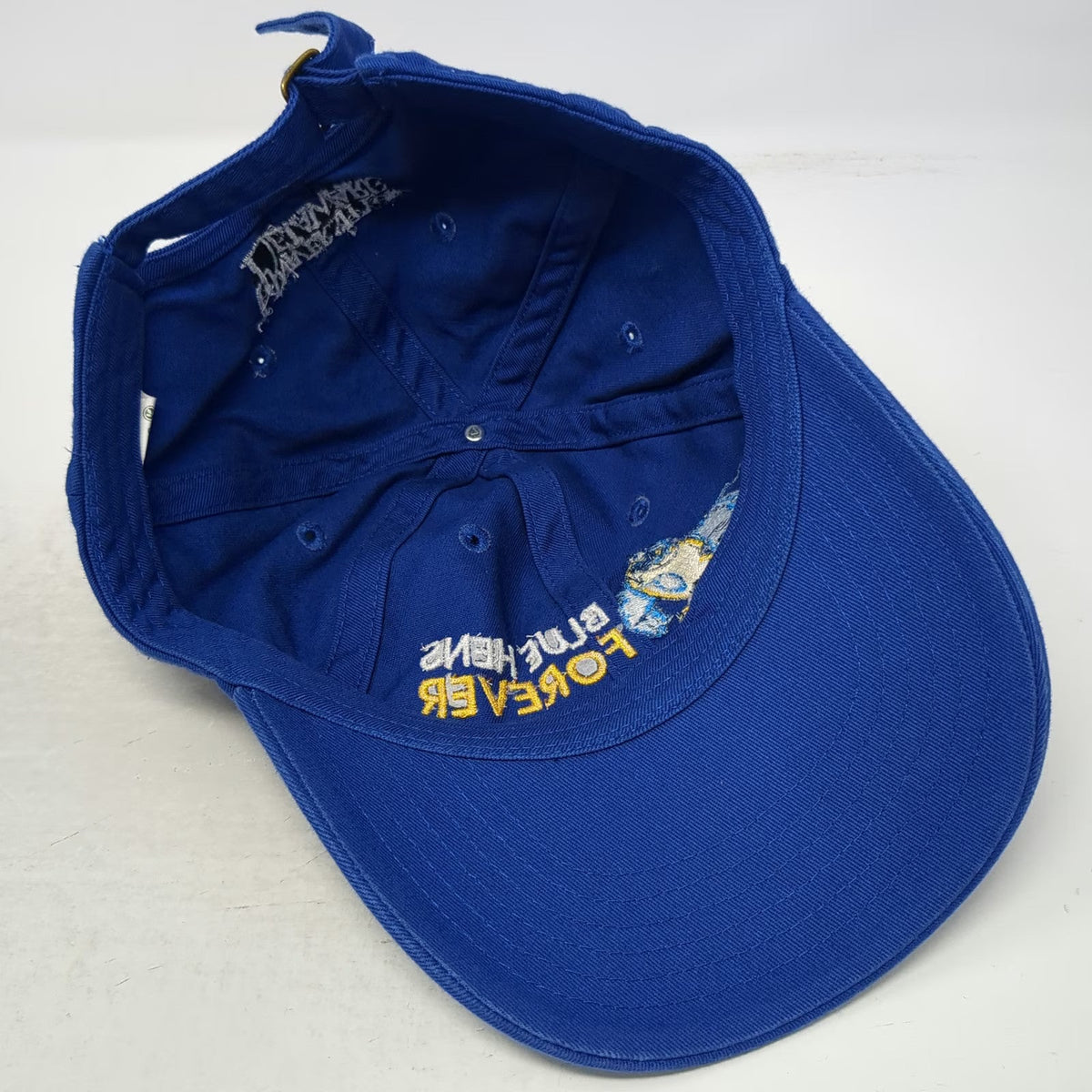 Delaware Blue Hens NCAA econscious One Size Cap Organic Cotton Mascot Logo White