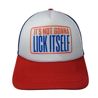 It's Not Gonna Lick Itself Snapback Trucker Hat Multi One Size Colorblock