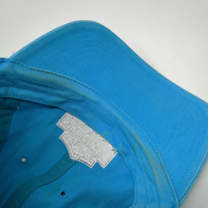 Harley-Davidson Baseball Cap Blue One Size Snake Twin Falls ID Script Hat