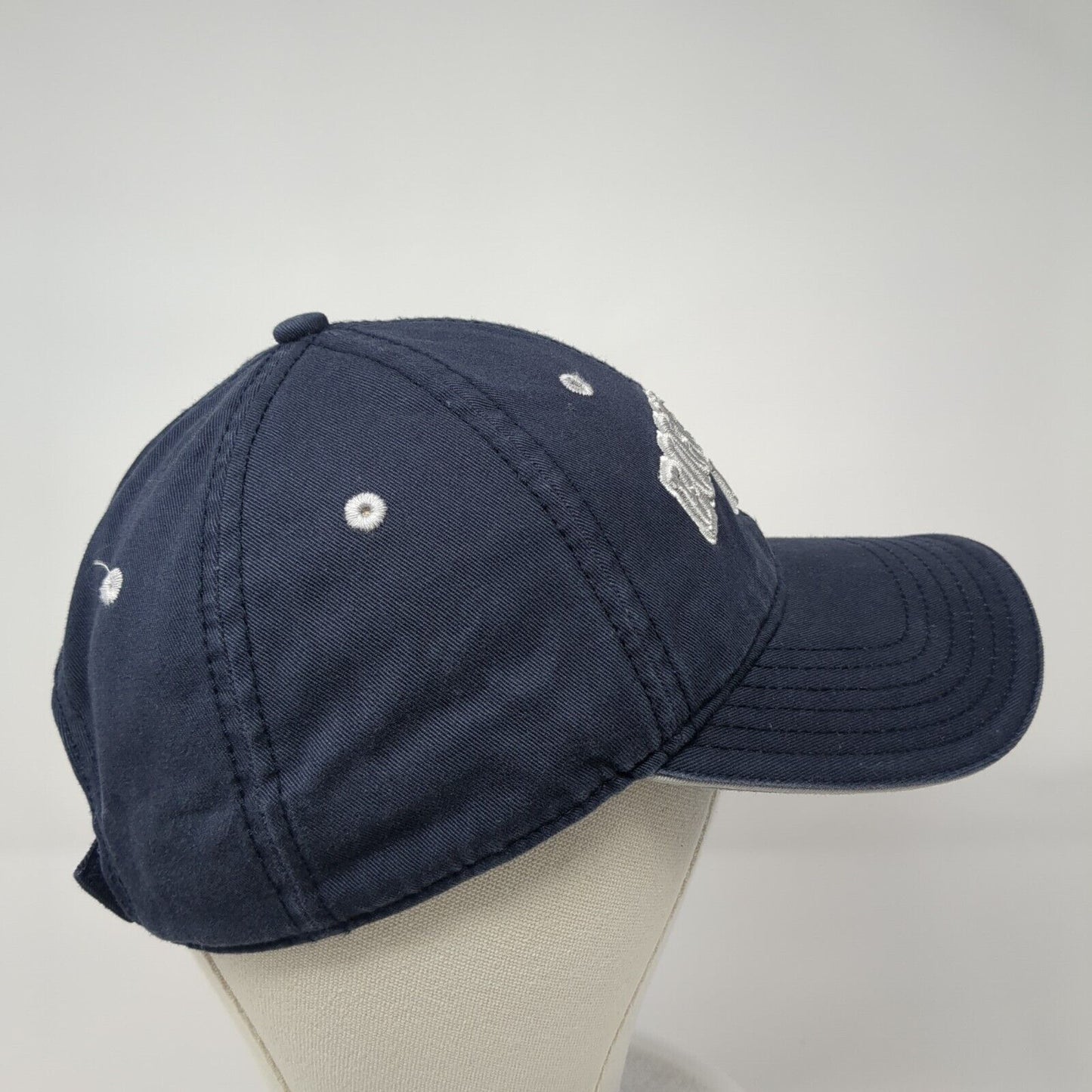 Bogus Basin ID Strapback Hat Blue One Size Adjustable Attitude 6 Panel
