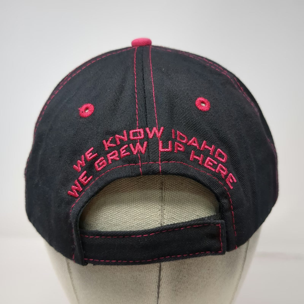 Buck's Bags Baseball Cap Black One Size Farm Bureau Ins Idaho Pink Stitching Hat