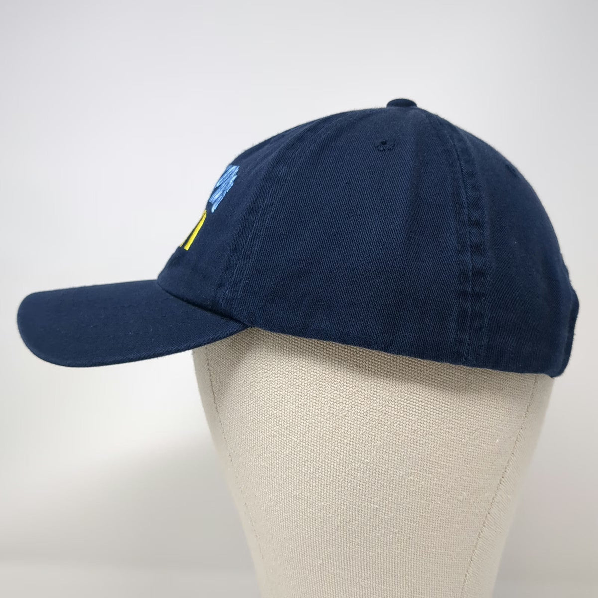 Fahrenheit Baseball Cap Blue One Size Grand Rapids MI Michigan Map Cotton Hat