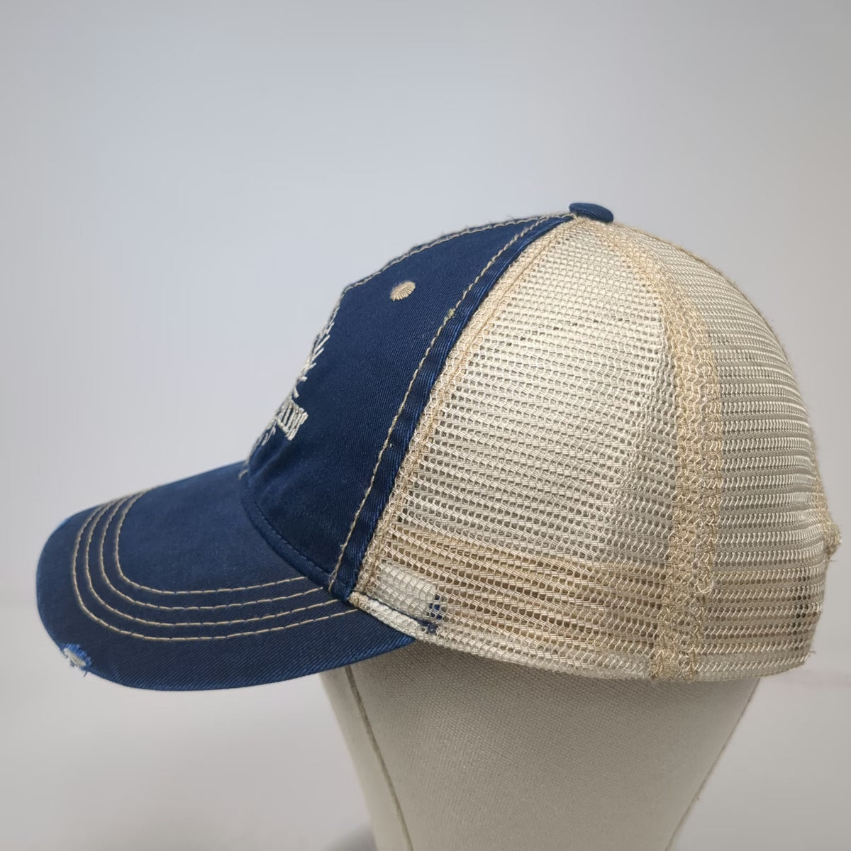 ACE USA Trucker Hat Blue One Size Rocky Mountains McCall Idaho Distressed Mesh