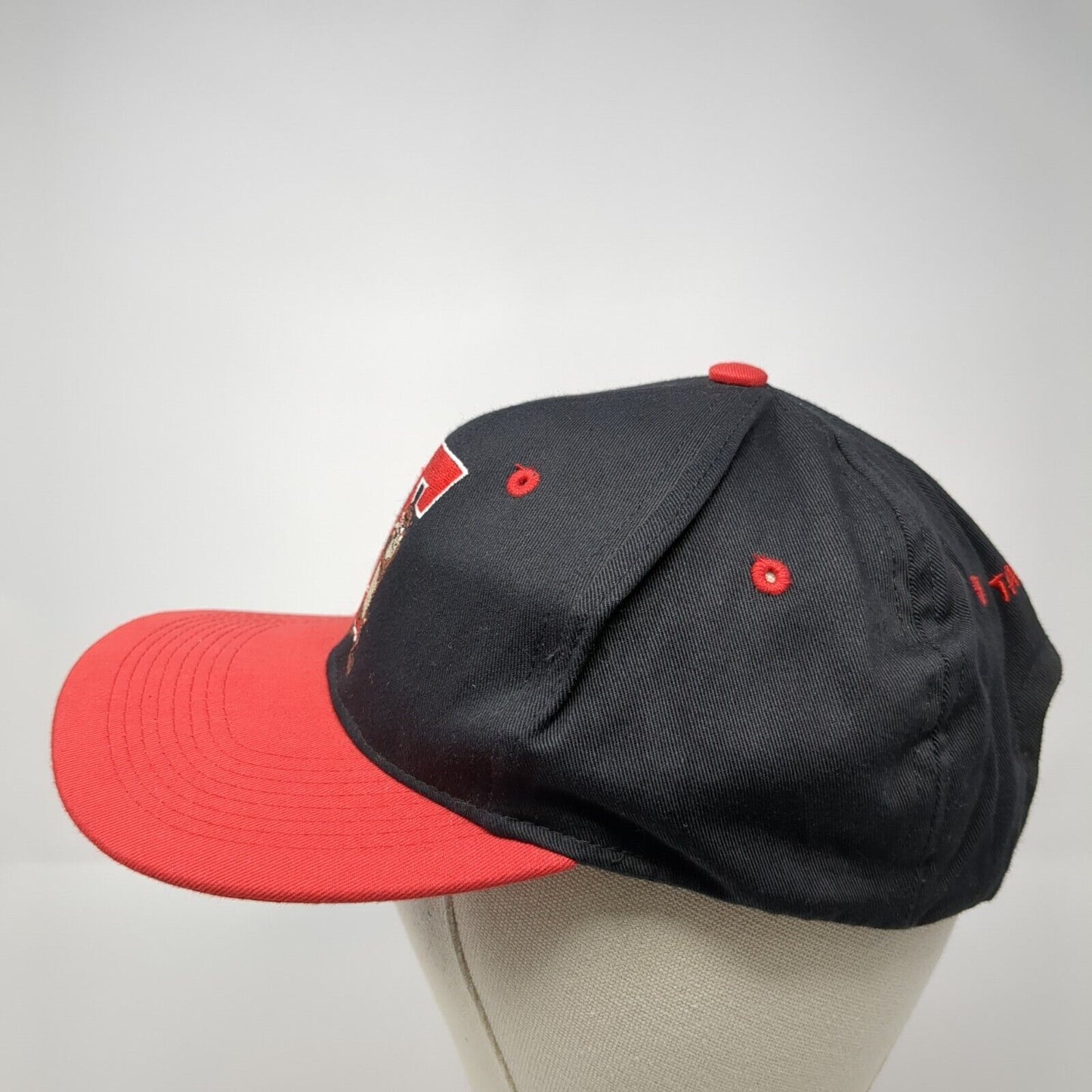 Tasmanian Devil Snapback Hat Multicolor OS Adjustable Embroidered Looney Tunes