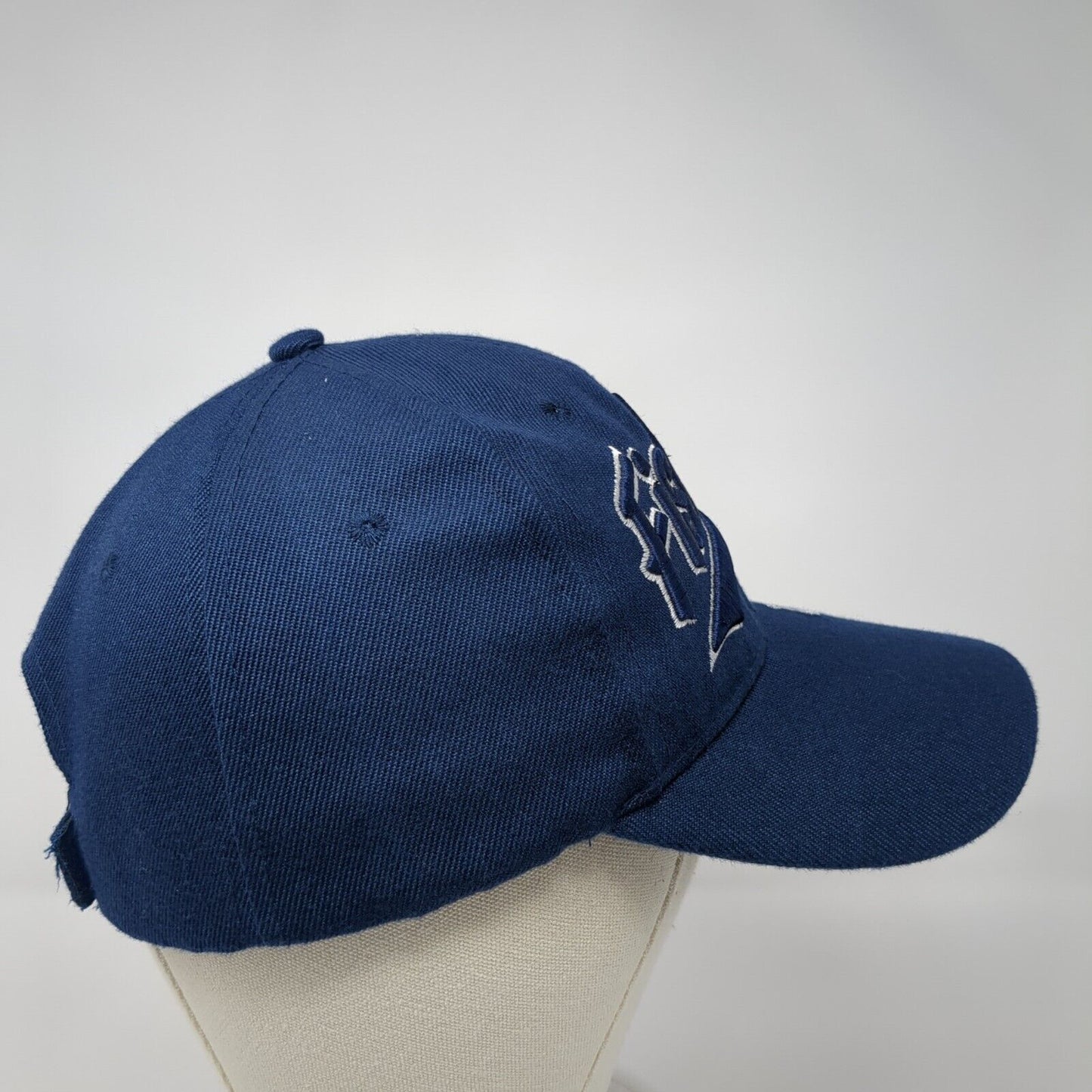 Fishing Strapback Hat Blue One Size Adjustable Embroidered 6 Panel