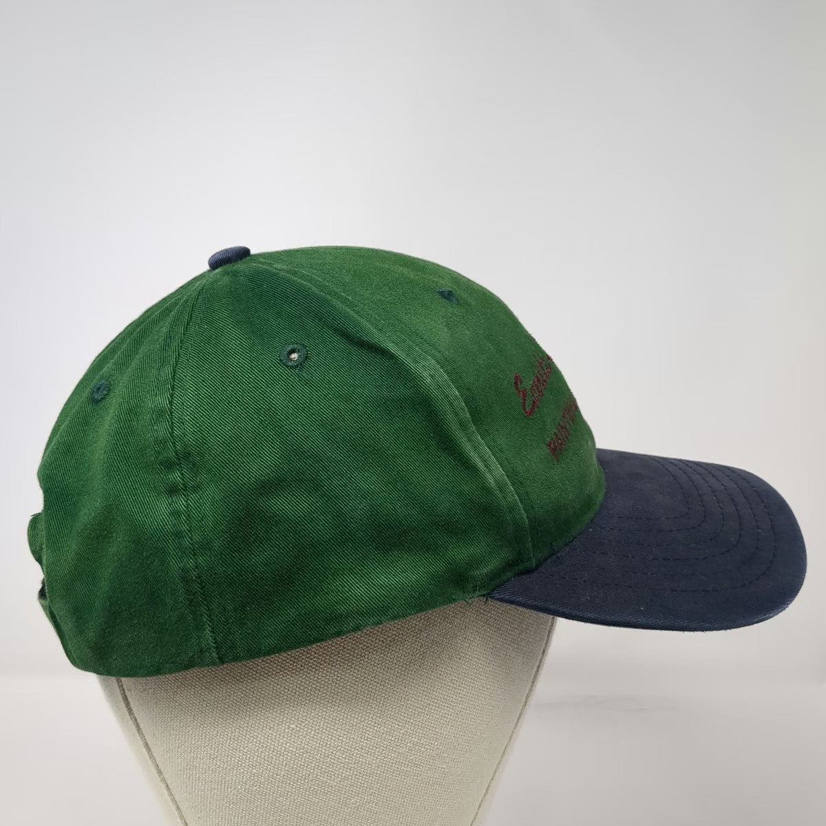 Pacific Headwear Baseball Cap Green Blue One Size Strapback Painter Logo Hat