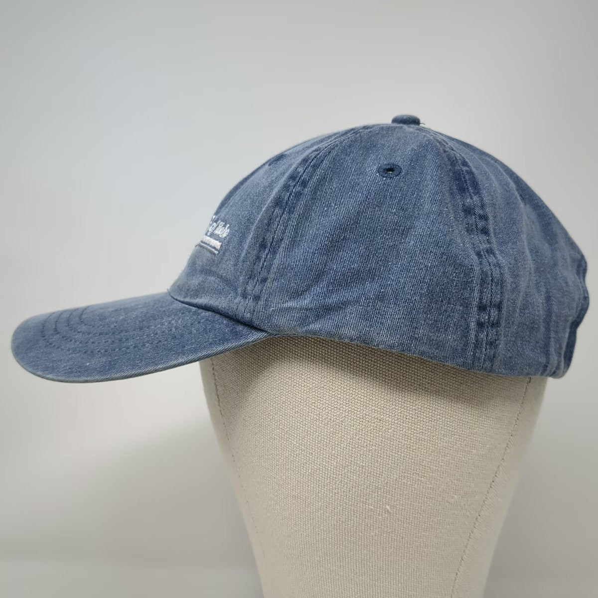 Port & Company Baseball Cap Blue One Size PC Recyclers of Idaho Strapback Hat