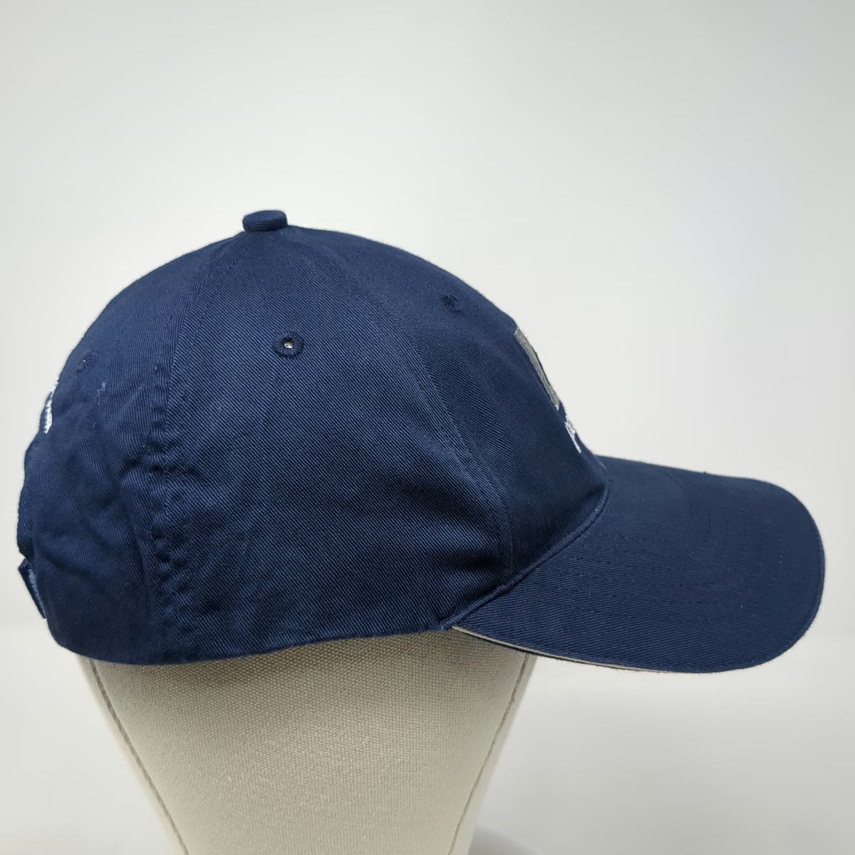 HA Baseball Cap Blue One Size AccessData Software Logo Strapback Hat Promo