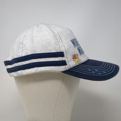Disney 5 Panel Gray Blue One Size More Dogs Lady Snapback Hat Glitter Tramp Paw