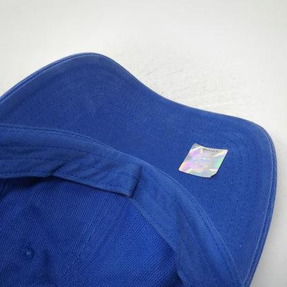 Nike Florida Gators NCAA Cap Hat Blue White One Size Embroidered Logo Slideback