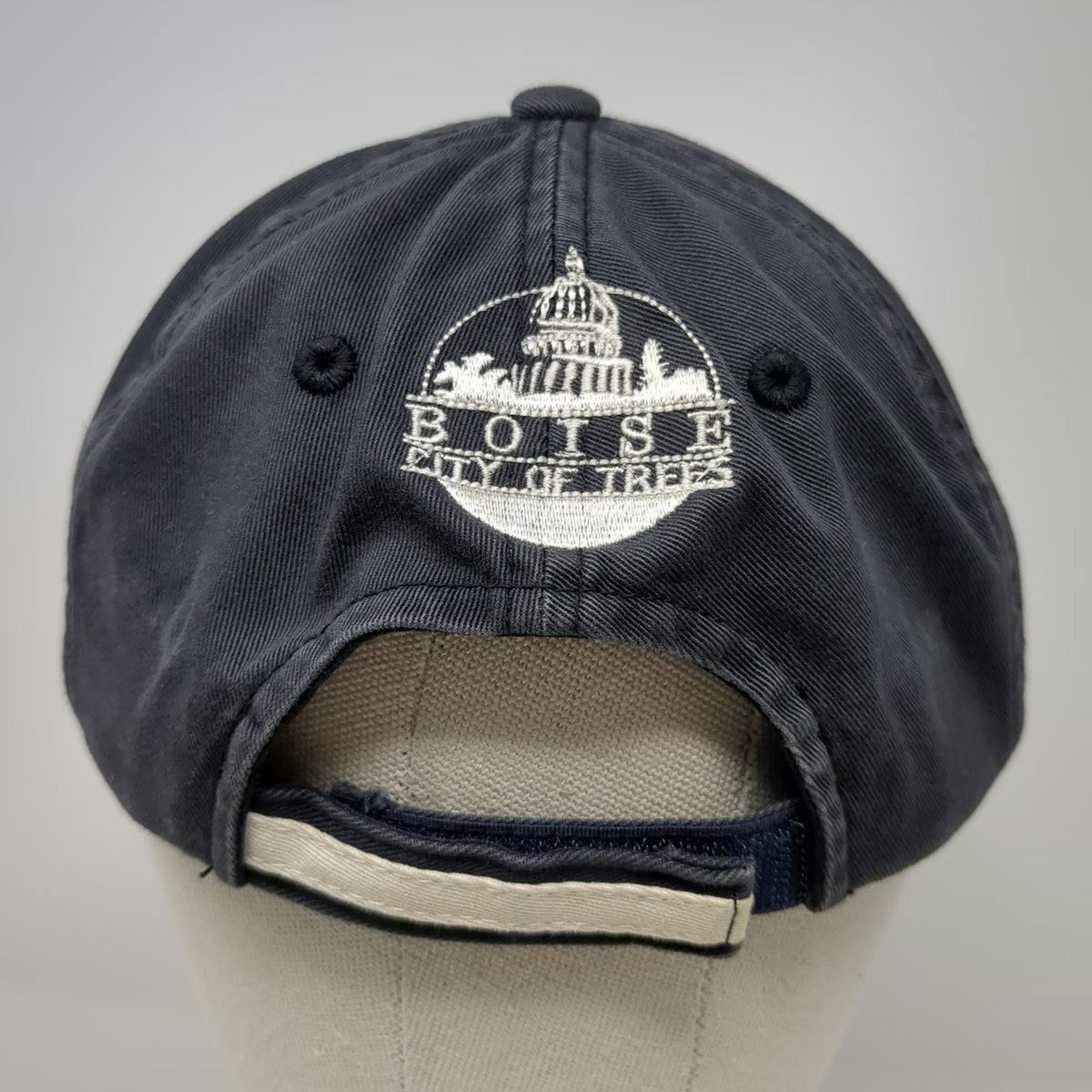 Port Authority Baseball Cap Blue One Size Boise Idaho Tree Steward Strapback Hat