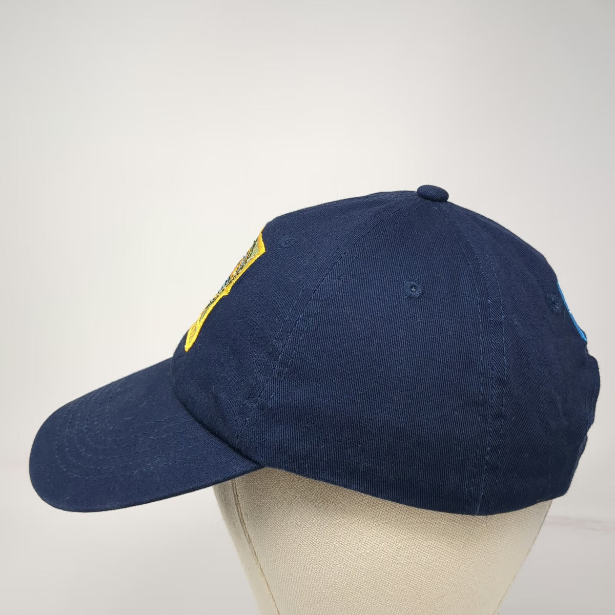 Strong-Caps Cap Blue National Geographic Galapagos Strapback Hat Vintage