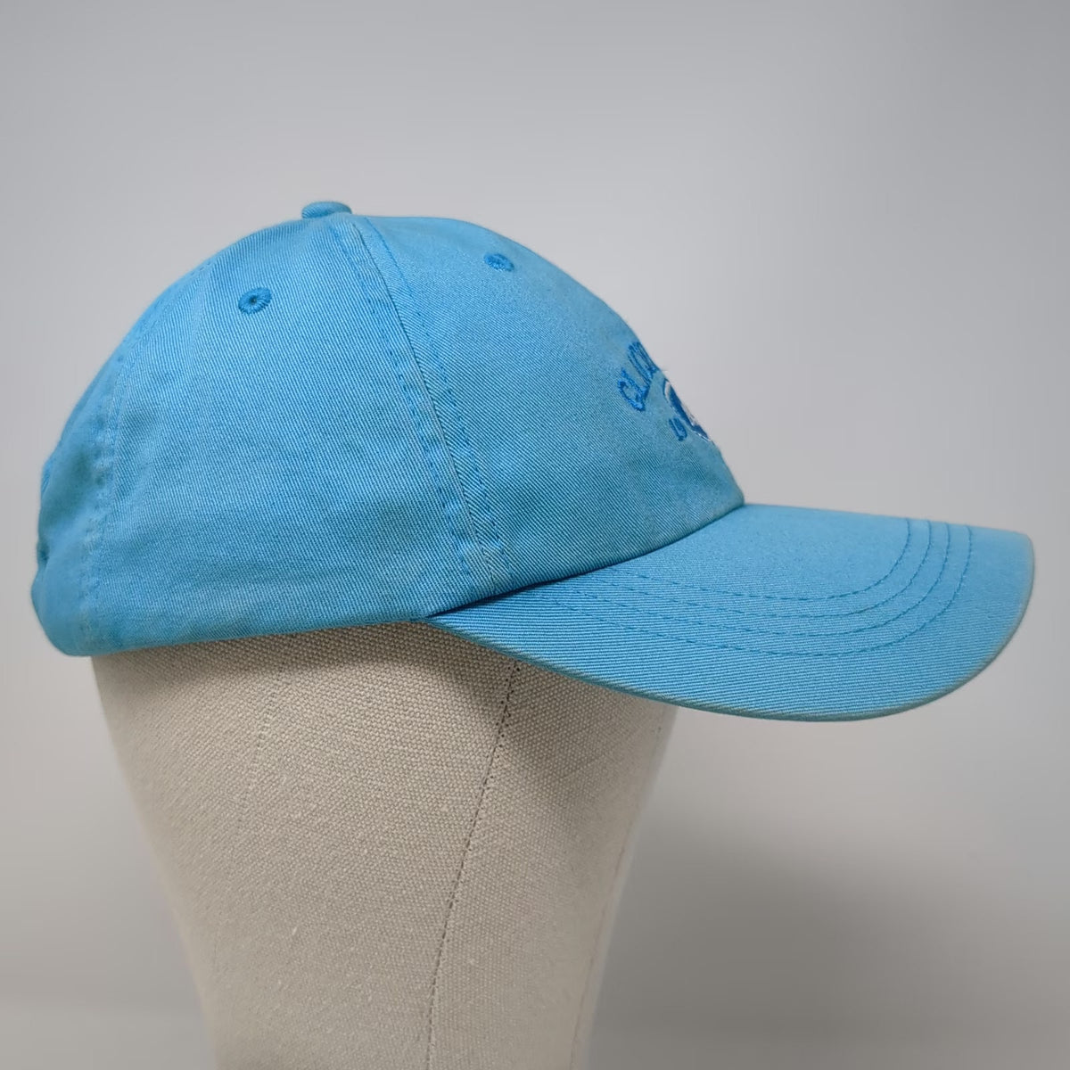 Prairie Mountain Baseball Cap Blue One Size Glacier National Park Moose Hat