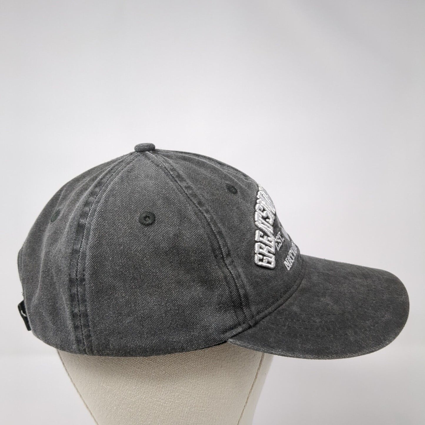 Great Smoky Mountains National Park Strapback Hat Gray One Size Outdoor