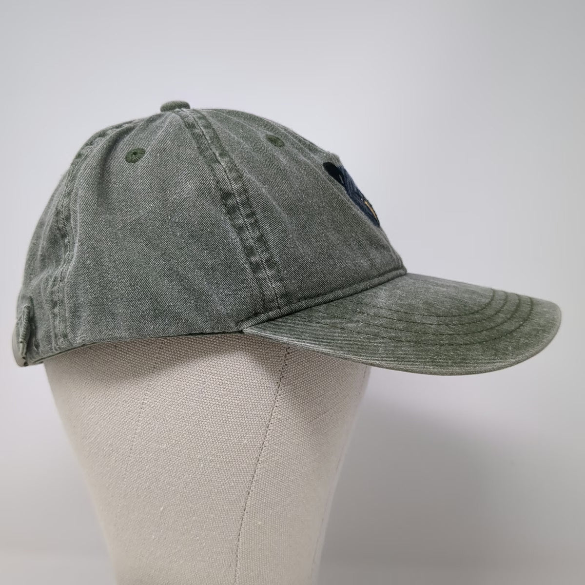ECO Baseball Cap Green One Size Kings Canyon National Park Bear Hat Slideback