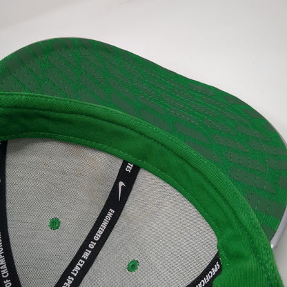 Nike Oregon Ducks NCAA Snapback Hat Green Yellow Silver One Size Metallic Brim
