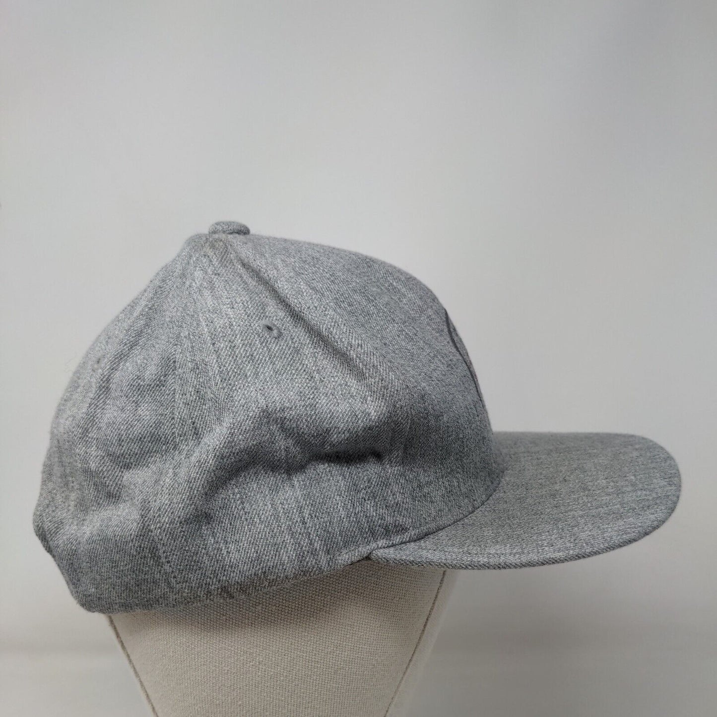 Coors Light Born in The Rockies Snapback Hat Gray One Size Embroidered 6 Panel