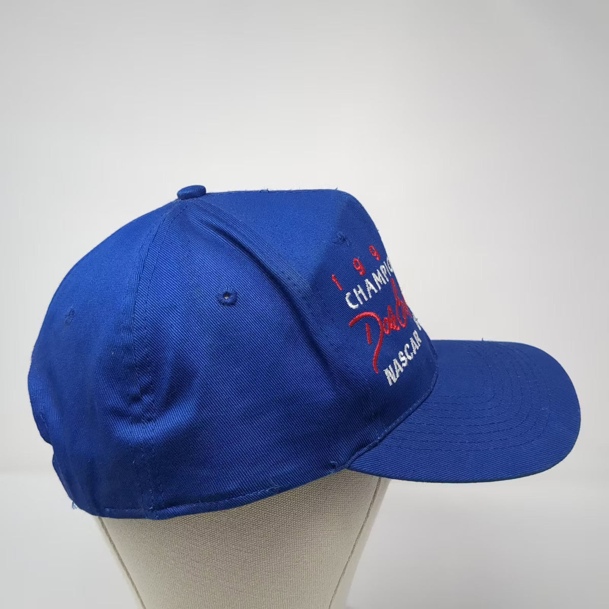 NASCAR Dale Earnhardt Jr 1998 Champion Competitors View Blue Cap Snapback OSFM