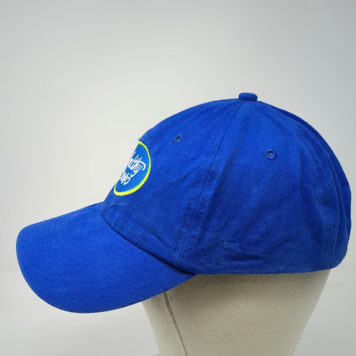 Blue Baseball Cap One Size Healthy Ones Heart Logo Green White Adjustable Hat