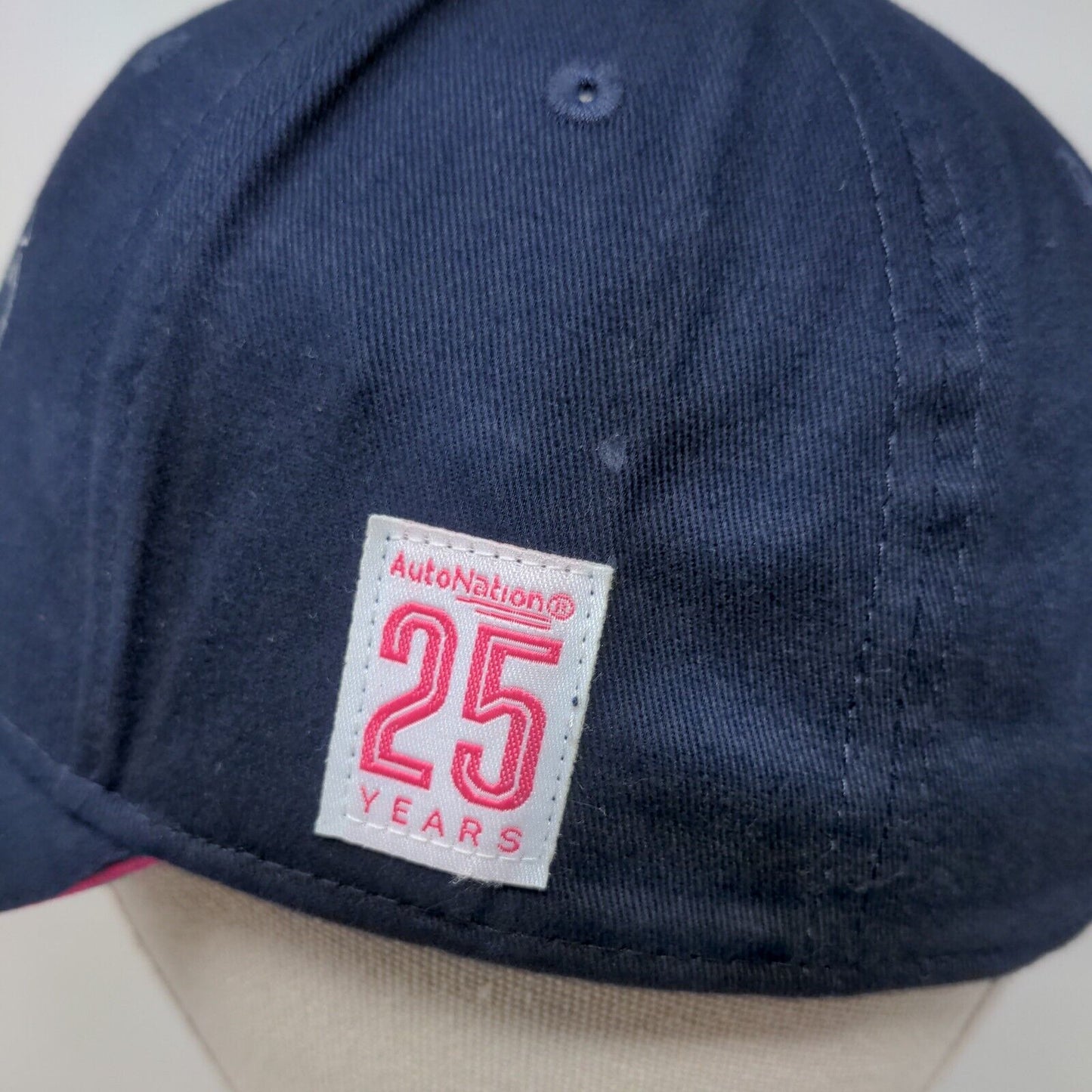 Driving Out Cancer Coast To Coast Auto Nation Strapback Hat Blue One Size