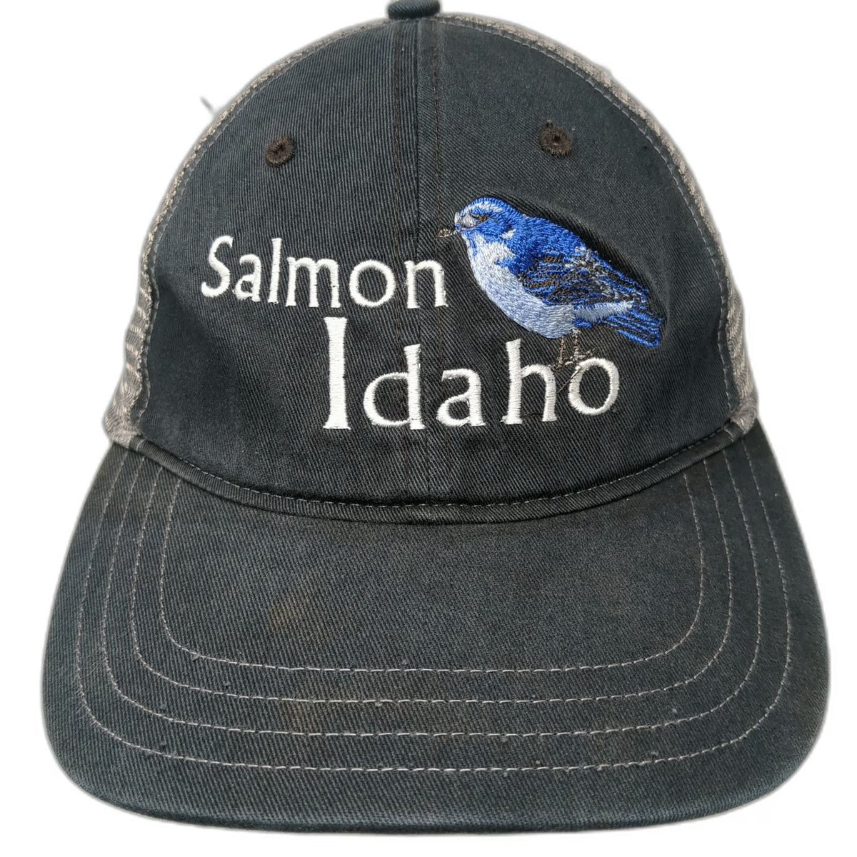 Richardson Trucker Hat Black L Salmon Idaho Embroidered Blue Bird Mesh