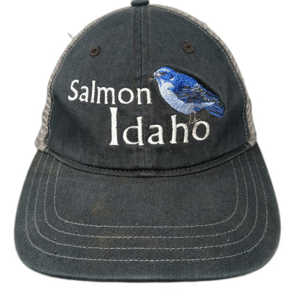 Richardson Trucker Hat Black L Salmon Idaho Embroidered Blue Bird Mesh