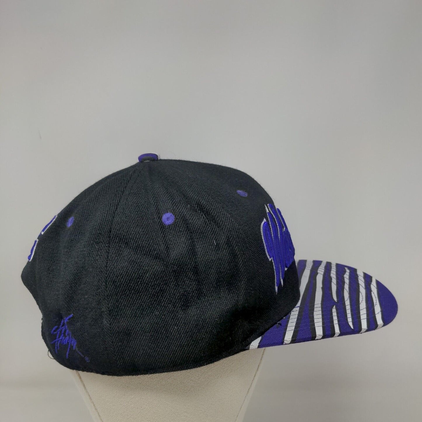 Washington DC Snapback Hat Multicolor One Size Embroidered 6 Panel City Hunter