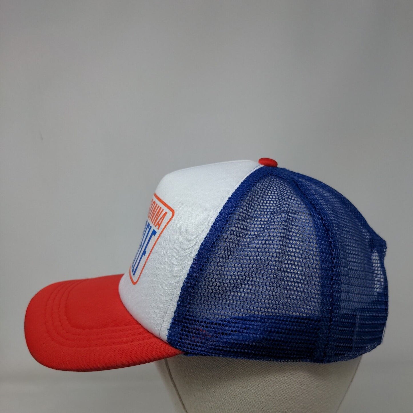 It's Not Gonna Lick Itself Snapback Trucker Hat Multi One Size Colorblock