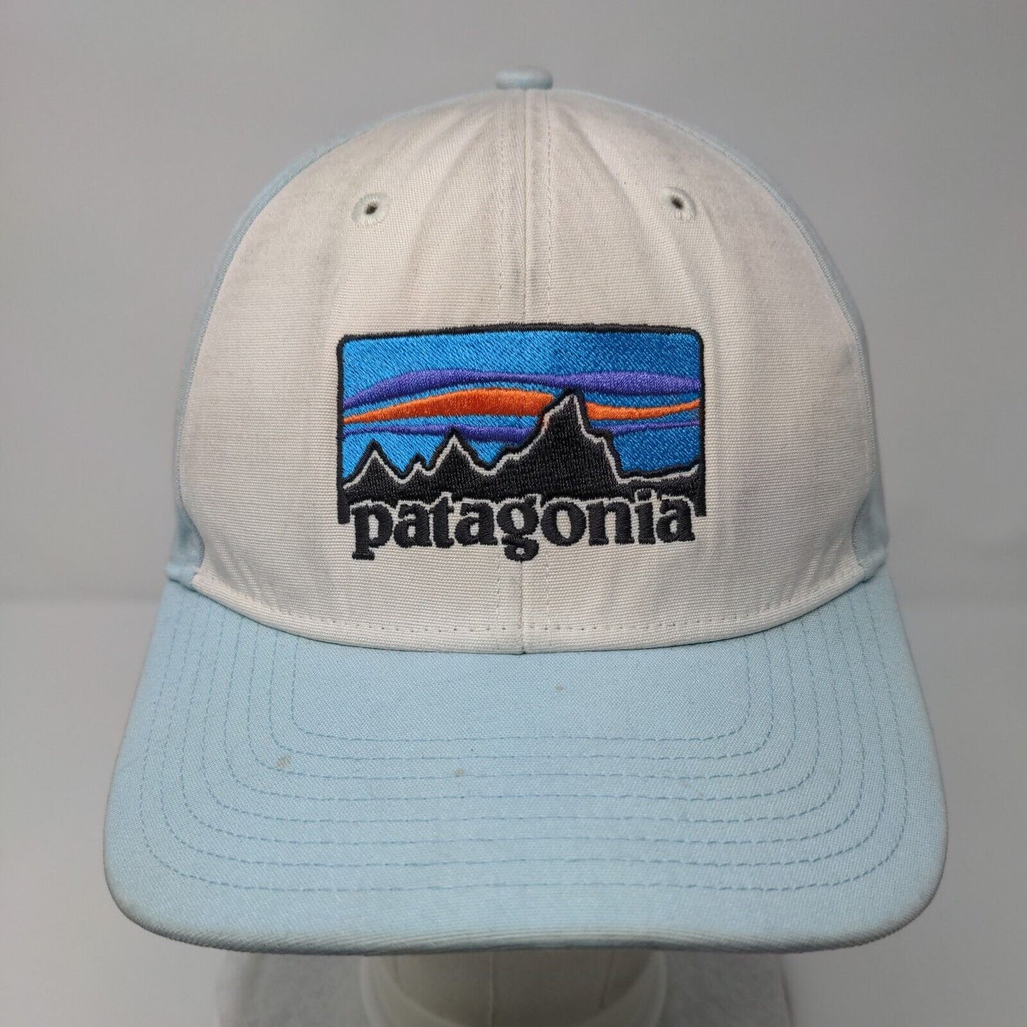 Patagonia Snapback Hat Blue OSFA Adjustable Embroidered 6 Panel Organic Cotton