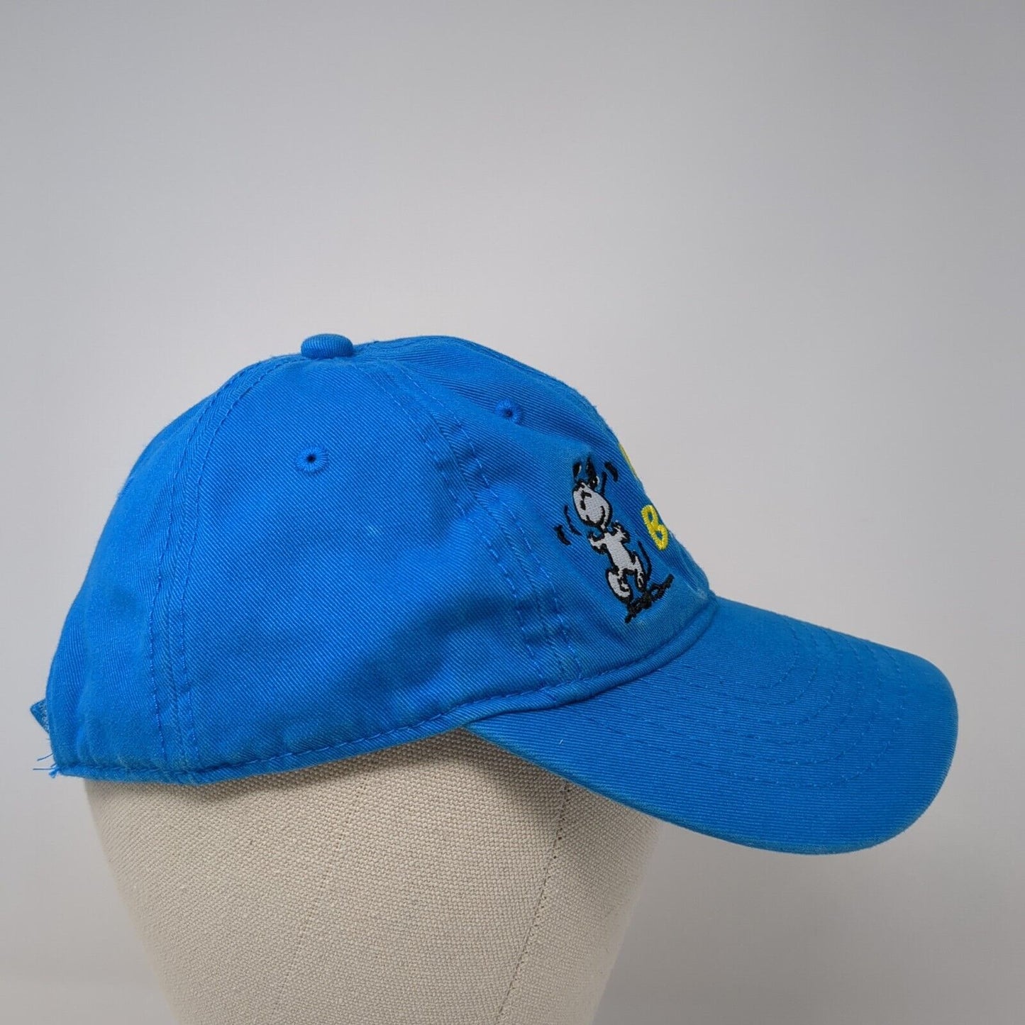 Knott's Berry Farm Strapback Hat Blue One Size Adjustable Solid Jhats
