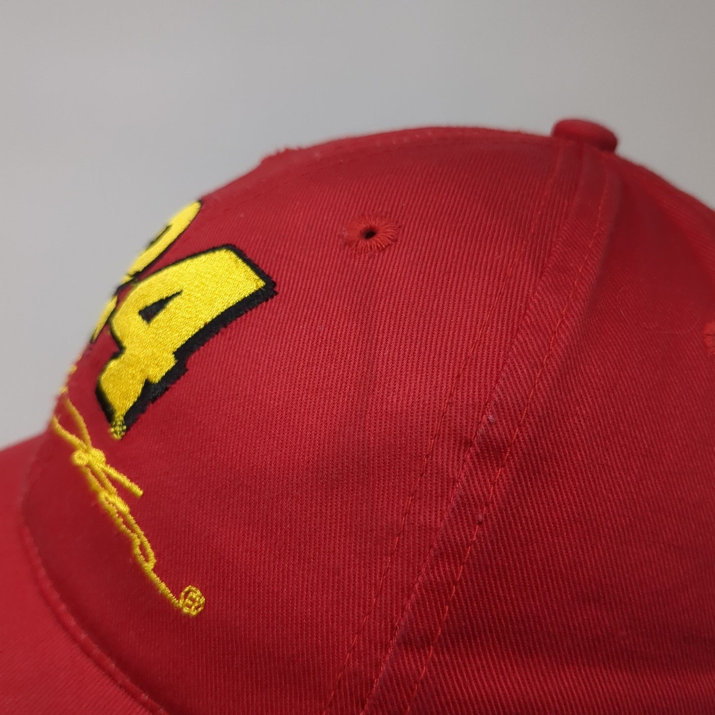 24 Jeff Gordon Strapback Hat Red One Size Adjustable Embroidered Chase