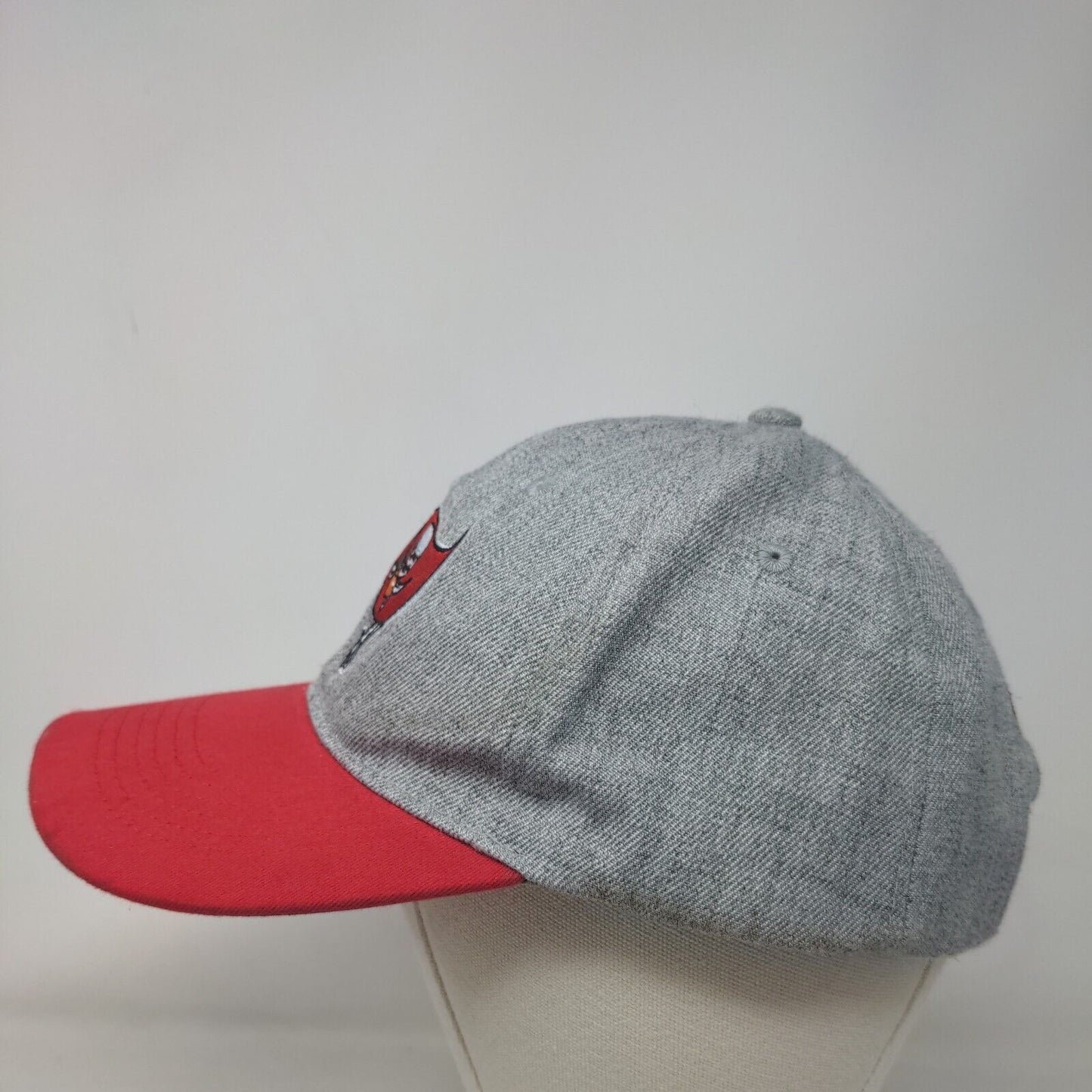 NFL Men's Strapback Hat Gray OSFM Embroidered Tampa Bay Buccaneers Season Pass