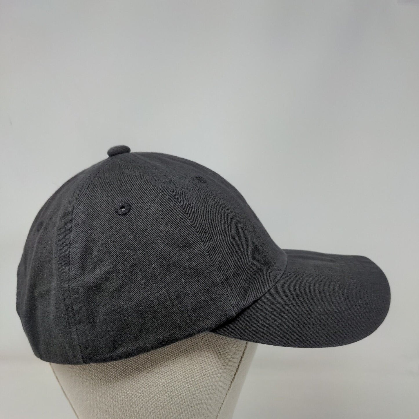 AE American Eagle Outfitters Snapback Hat Gray One Size Embroidered 6 Panel