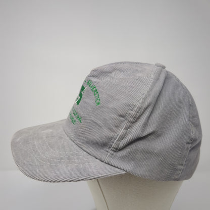 International Silverstick Illinois Snapback Hat Gray One Size Corduroy