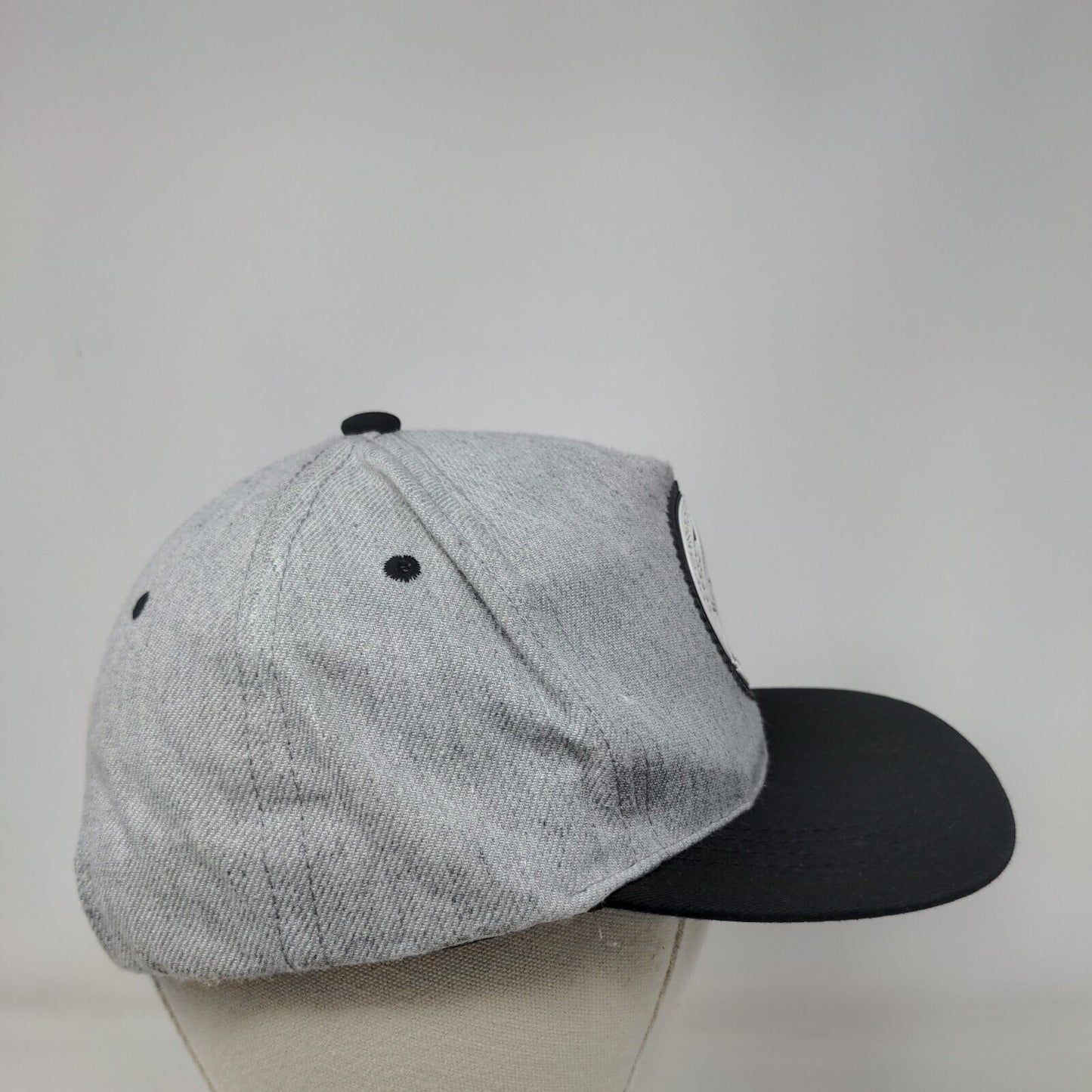 Novus Ordo Seclorum Annuit Coeptis Illuminati Strapback Hat Gray OS Adjustable