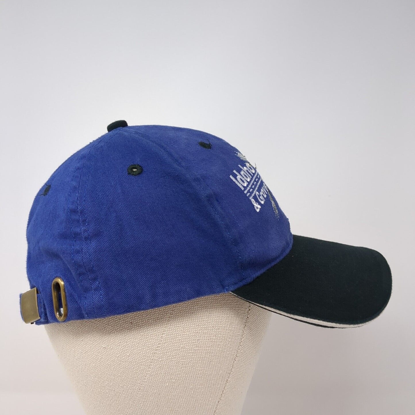 Idaho Sand & Gravel Co Slideback Hat Blue One Size Colorblock 6 Panel