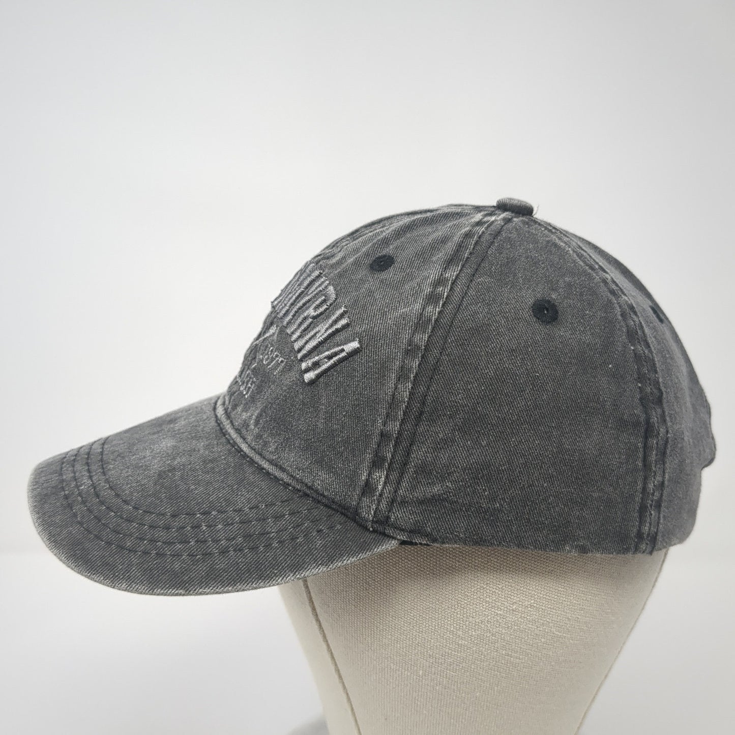 New Smyrna Beach Est. 1877 Strapback Baseball Cap Gray OS Adjustable Lucky 7