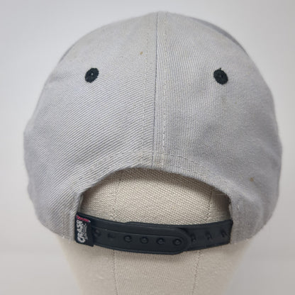 Crash Bandicoot Snapback Hat Gray One Size Adjustable Embroidered Num Skull