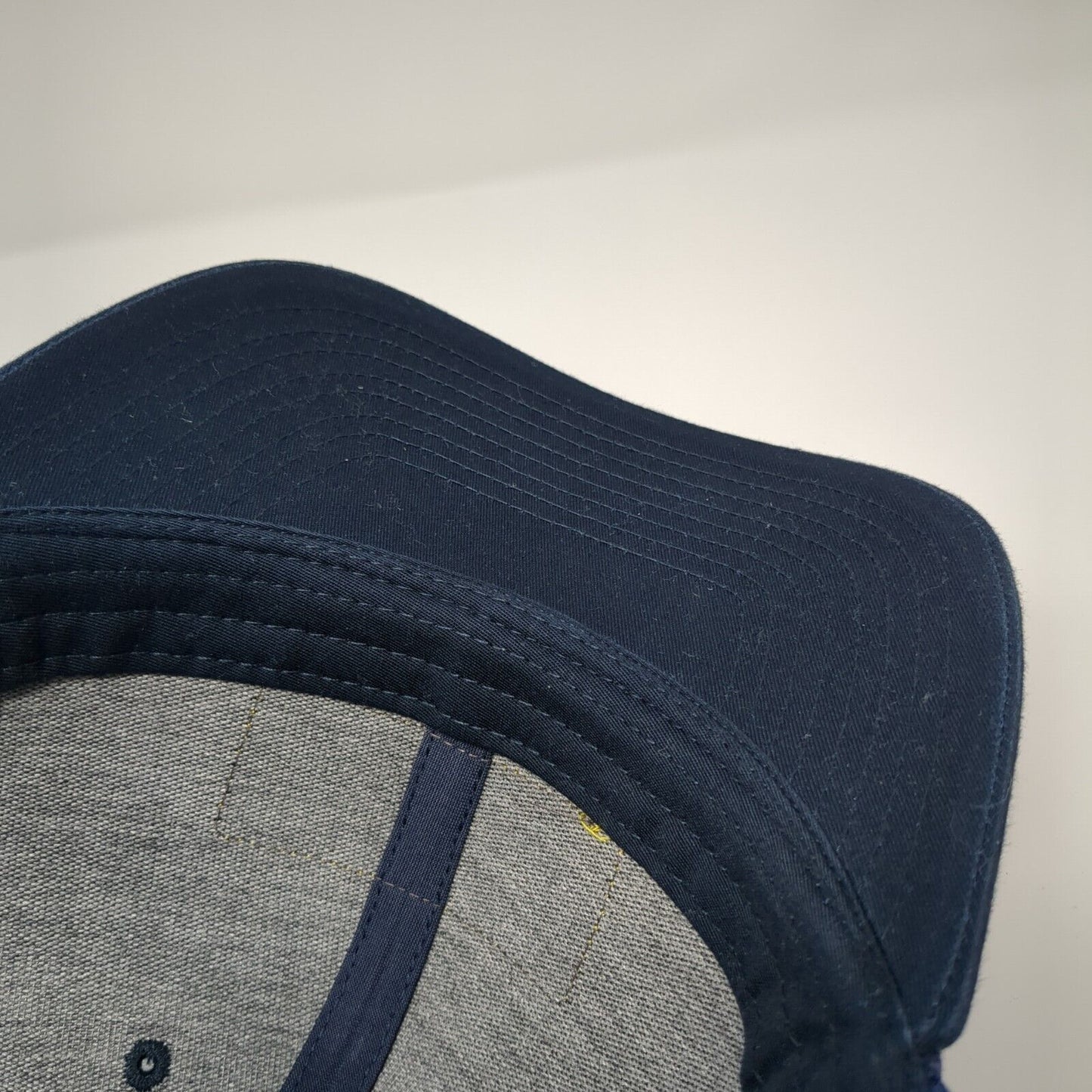 Project Big Wood Patch Snapback Trucker Hat Blue One Size Mesh Back