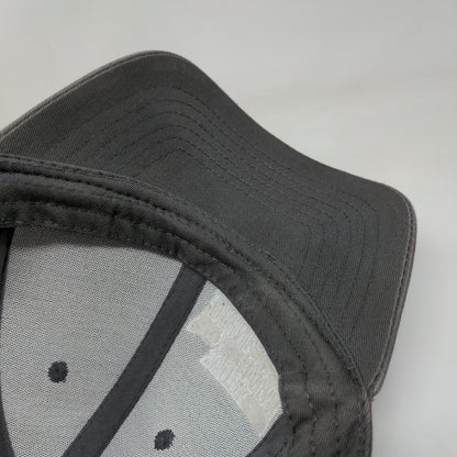 Work Hard Drink Beer Snapback Hat Gray One Size Adjustable Embroidered Brewery