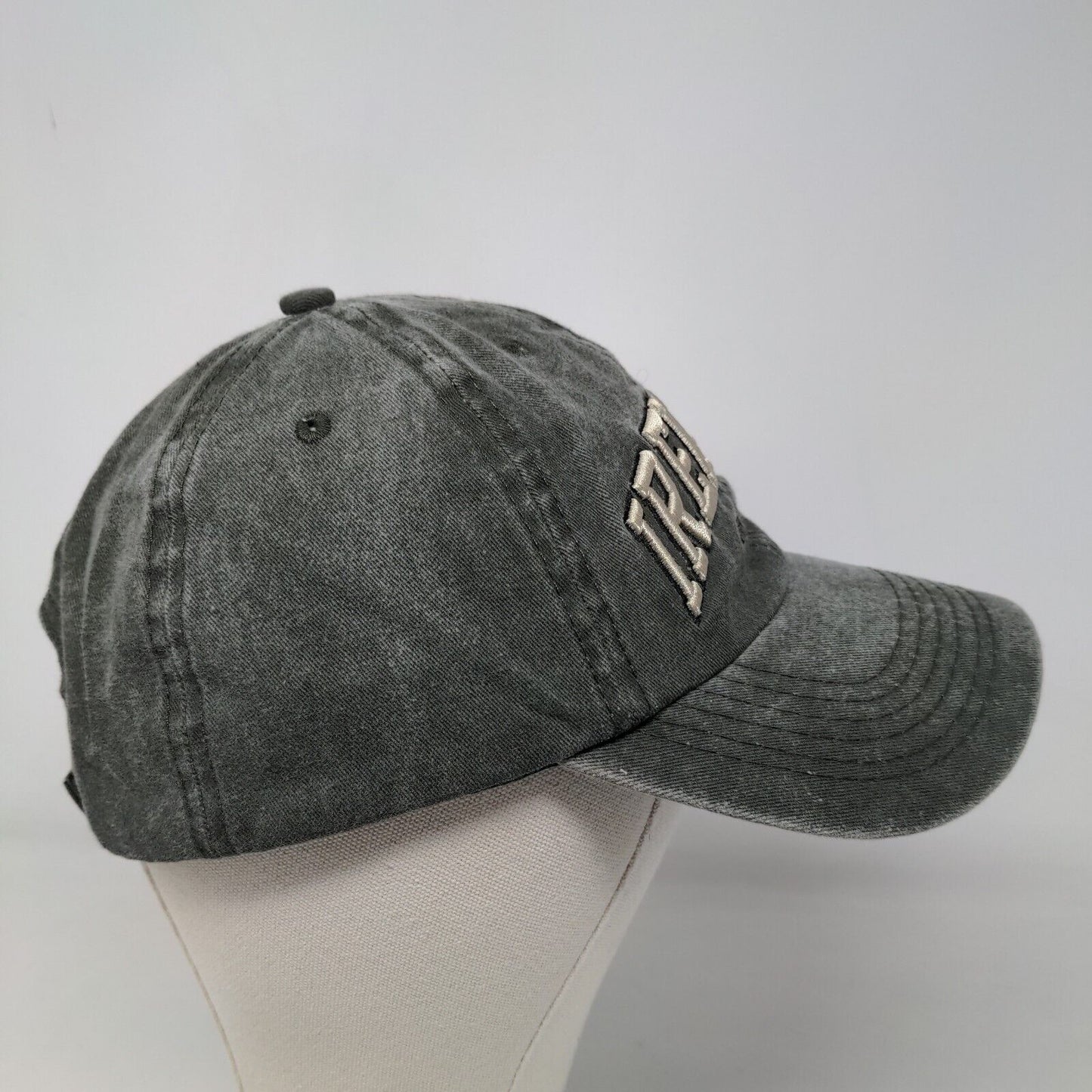 Robin Ruth Men's Strapback Hat Green Gray Adjustable Embroidered Ireland Logo