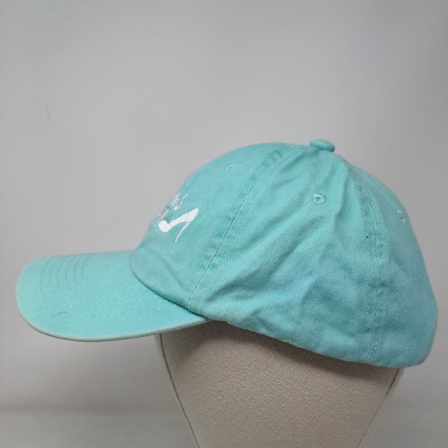 Cinderella's Ball Slideback Hat Blue One Size Embroidered Heartstrings