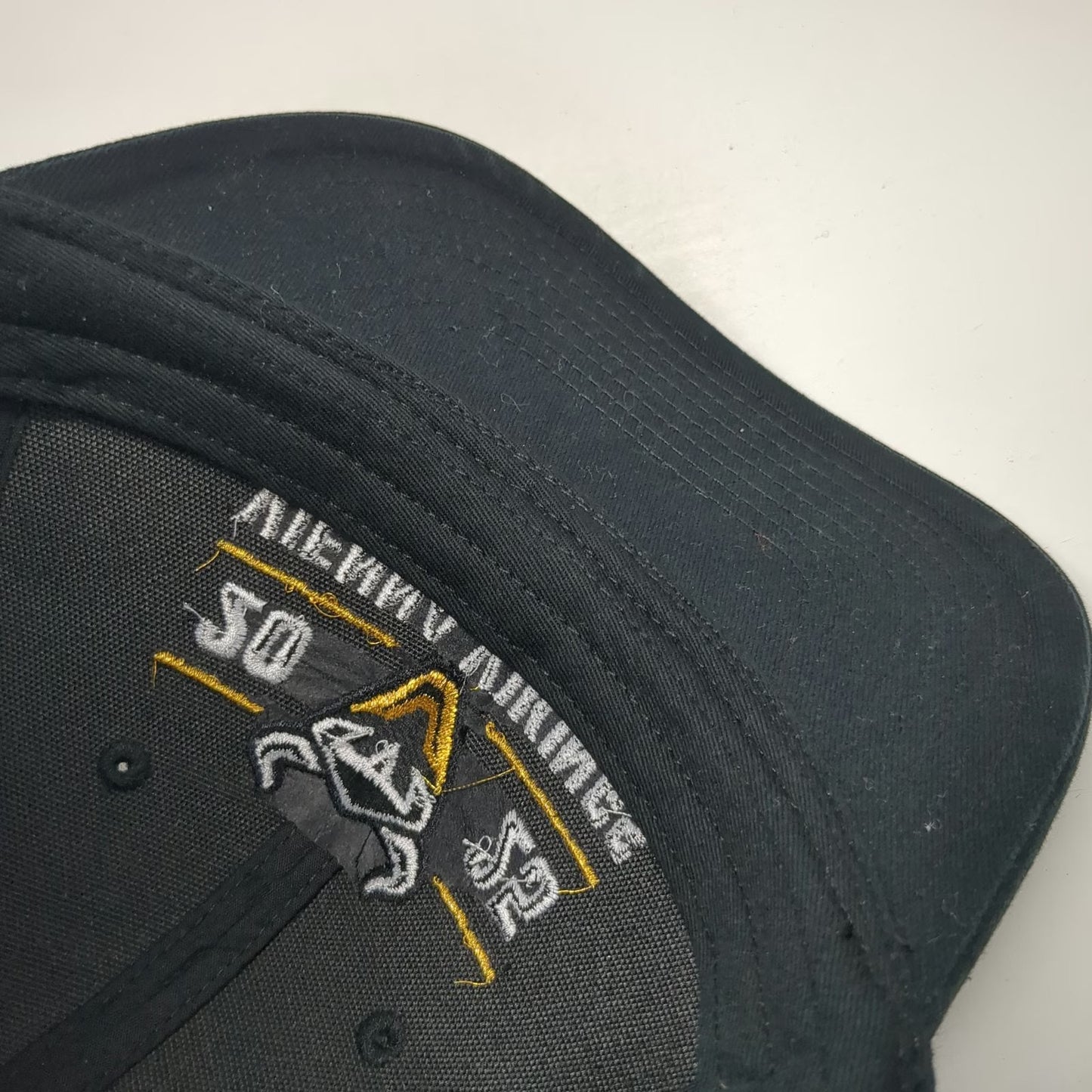 Vienna Vikings ELF K Pro Baseball Cap Black One Size East Division Champions