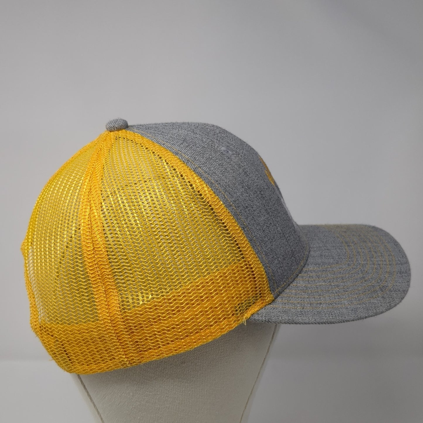 Rays For Rare Snapback Trucker Hat Multicolor One Size Mesh Back Fahrenheit