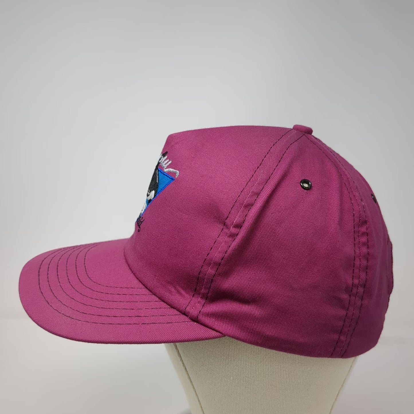 5 Panel Pink SeaWorld Shamu Orca Killer Whale Made in USA Snapback Hat Vintage