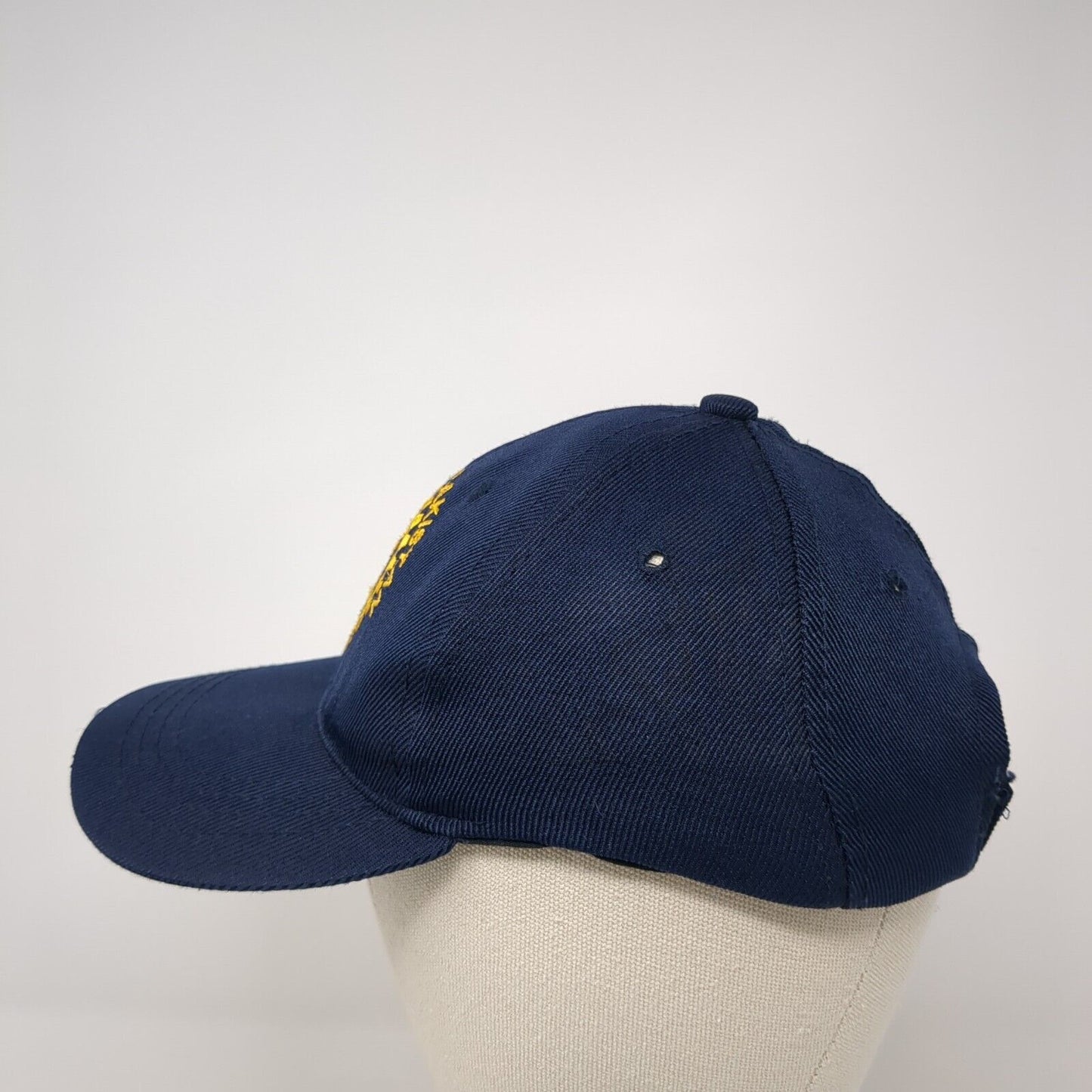 Polio Free Pakistan Rotary International Strapback Hat Blue One Size Adjustable