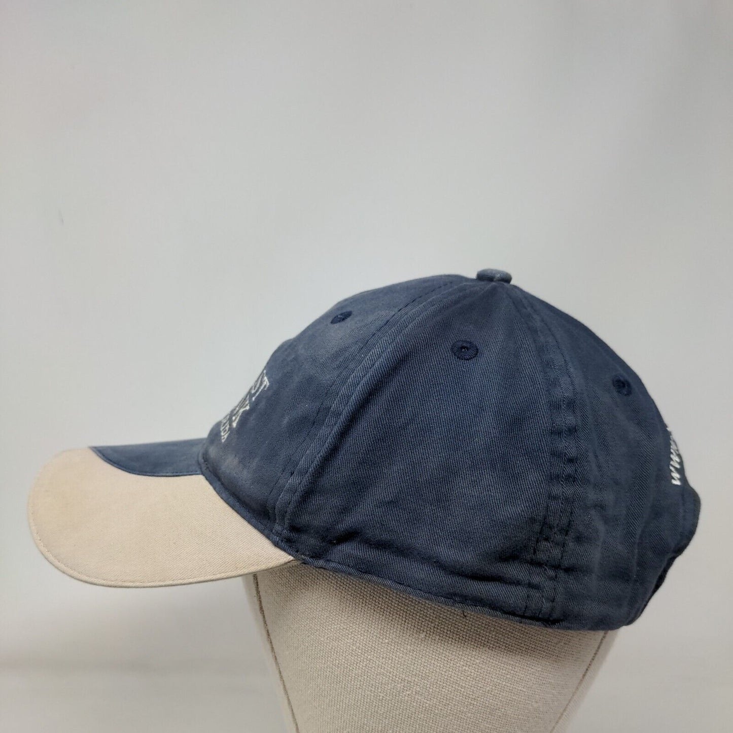 Coast Bank of Florida Strapback Hat Blue One Size Adjustable Embroidered AMC