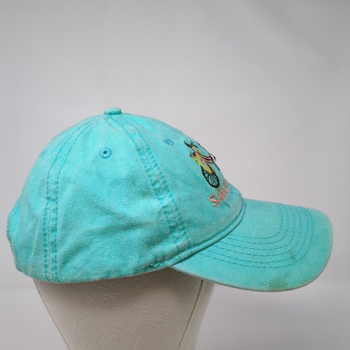 Bicycle Savannah GA Strapback Hat Bluish-Green One Size Embroidered
