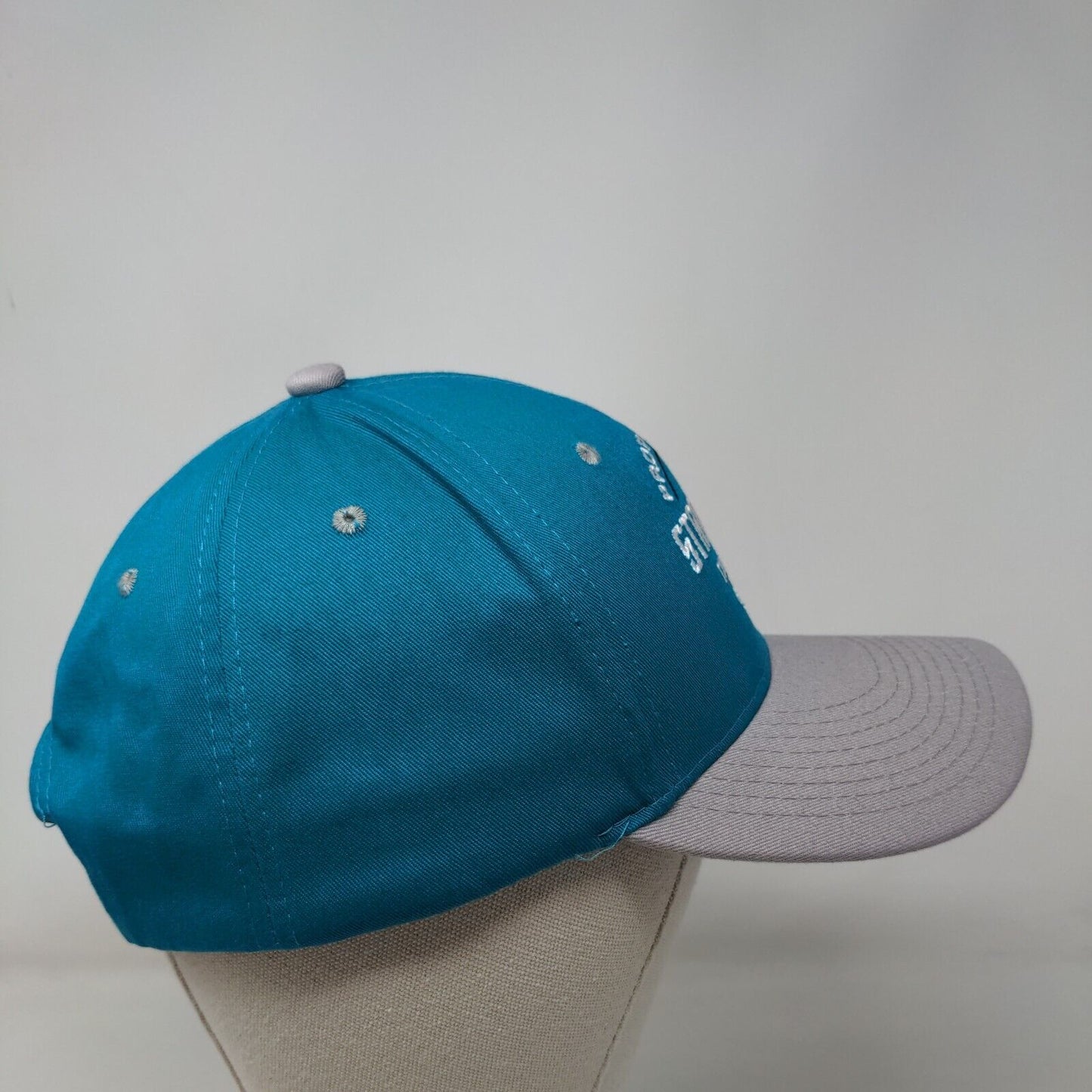 Star Trek The Cruise Snapback Hat Blue One Size Embroidered Colorblock